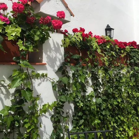 Alfonso Xiii Appartement *