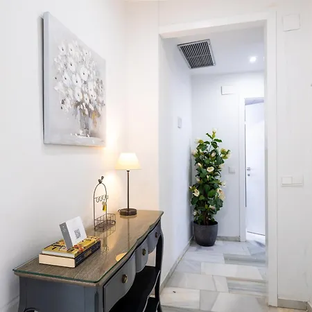 Atico Alfonso-xiii Apartmán