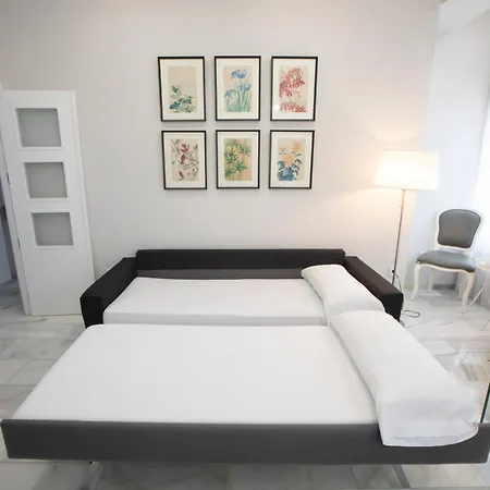 Atico Alfonso-xiii Apartmán *