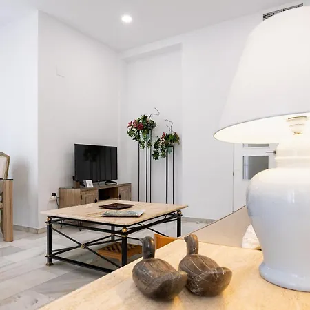 Atico Alfonso-xiii Apartmán